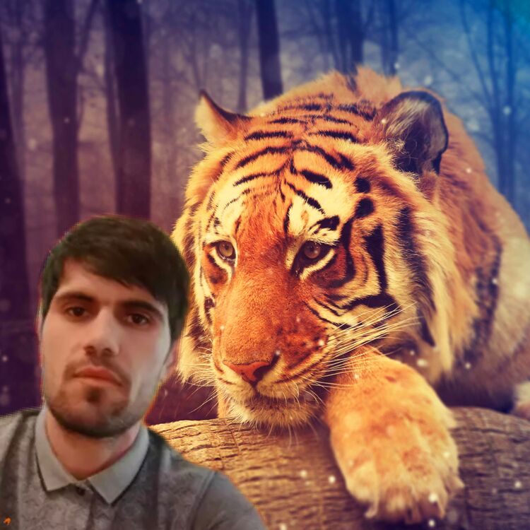 ���������� �����-���������, ���� ������� ���������, 36 ���, ������������ ��� ������, ����� � ���������