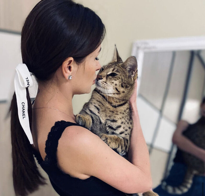 ���������� ������, ���� ������� ����, 33 ����, ������������ ��� ������, ����� � ���������