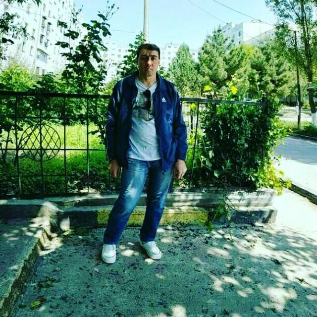  41169353  , 37 ,    
