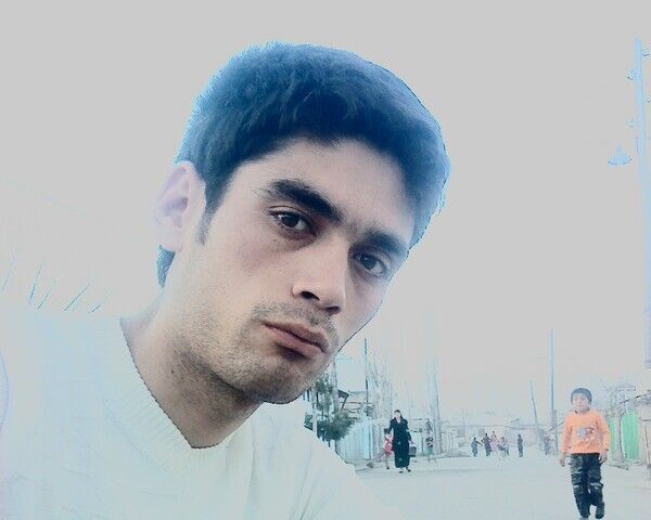 ���� 33539313 ������� ������, 38 ���, ���� ���������� � �������