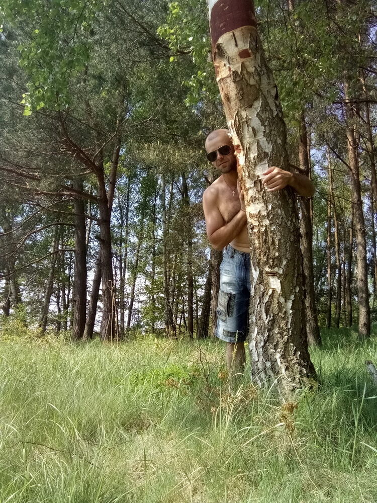  15083453  , 46 ,    