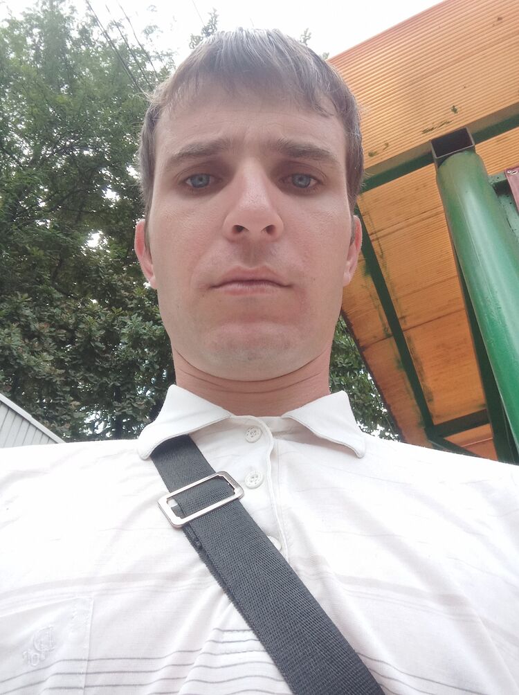  48294753  , 31 ,    