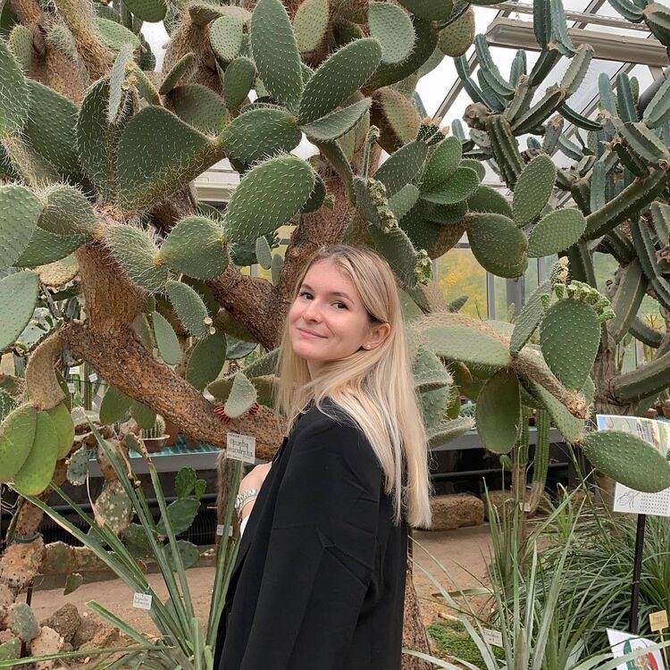 ���� 50336813 ������� ����, 31 ���, ���� ���������� � �����-����������