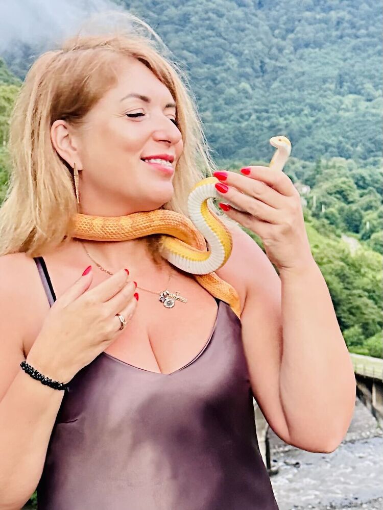  54350883  , 47 ,    -