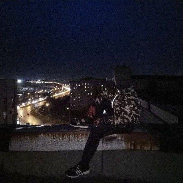  52295453  , 20 ,    