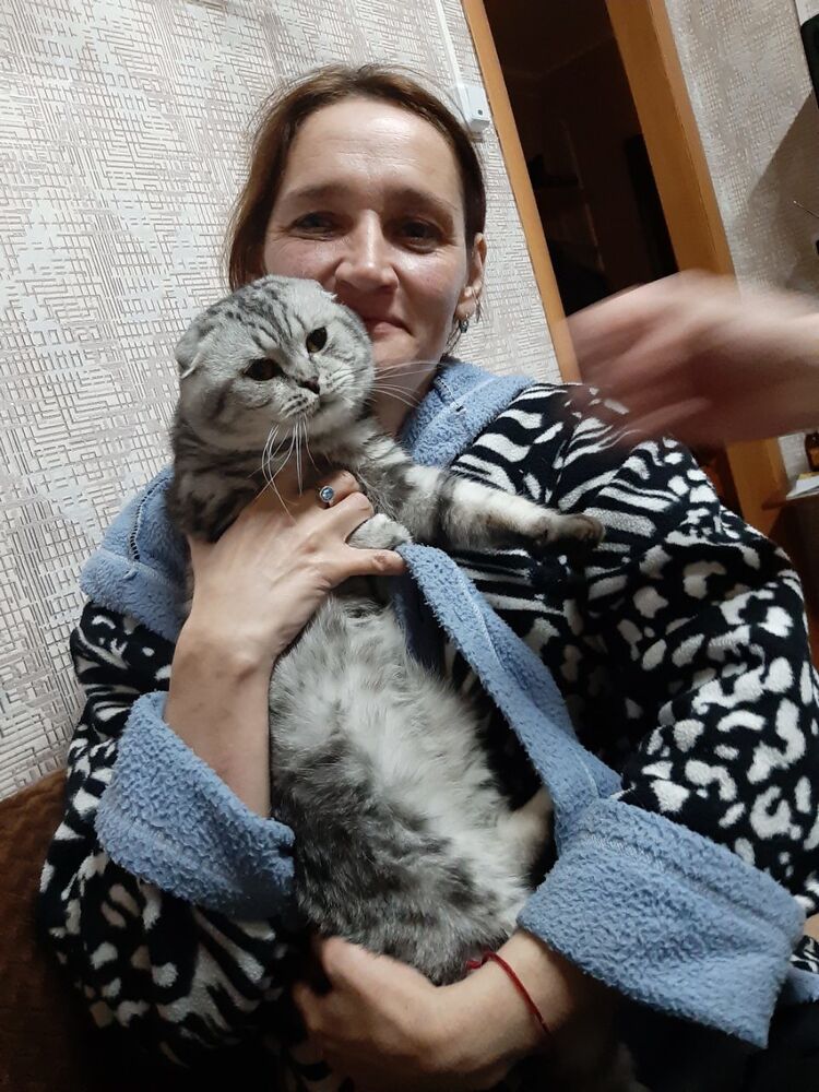 ���������� ������, ���� ������� �����, 53 ����, ������������ ��� ������, ����� � ���������