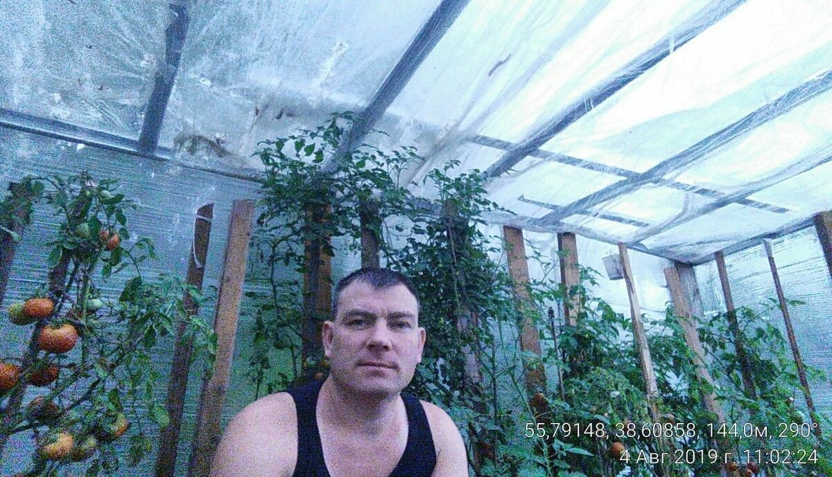  17007343  , 46 ,     