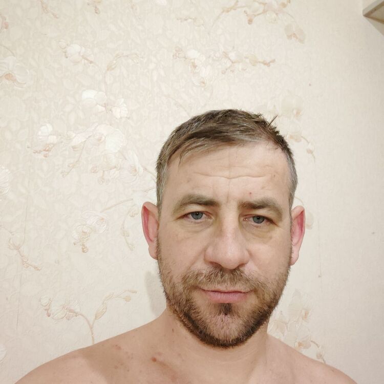  40176213  , 40 ,    