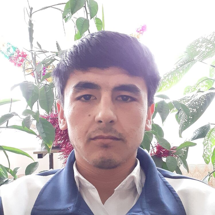 ���� 31046533 ������� ���������, 34 ����, ���� ���������� � ������������