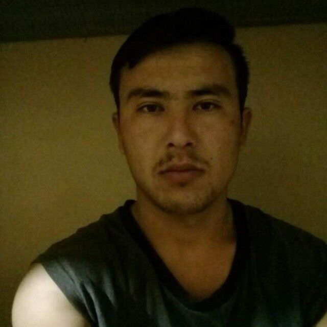 ���� 19523443 ������� Daler, 32 ����, ���� ���������� � ����