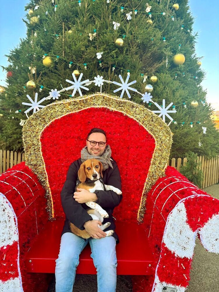 ���� 55210383 ������� ����, 33 ����, ���� ���������� � ������� ���������