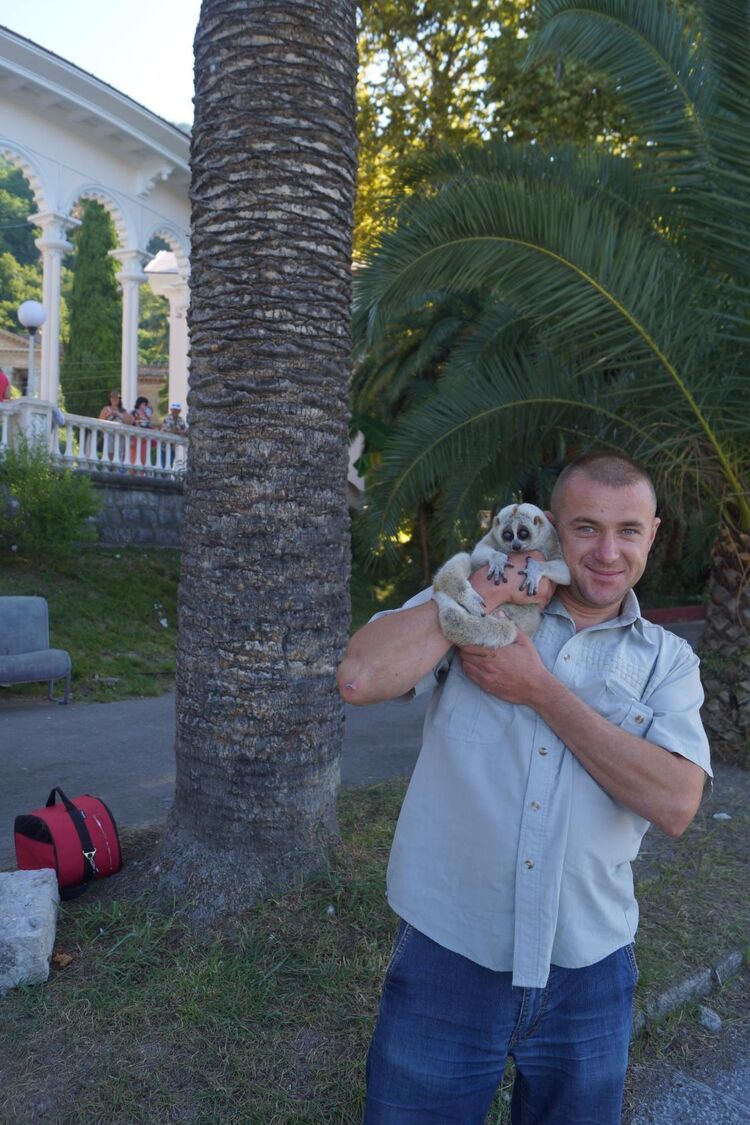 ���������� ���������, ���� ������� �����, 45 ���, ������������ ��� ������, ����� � ���������