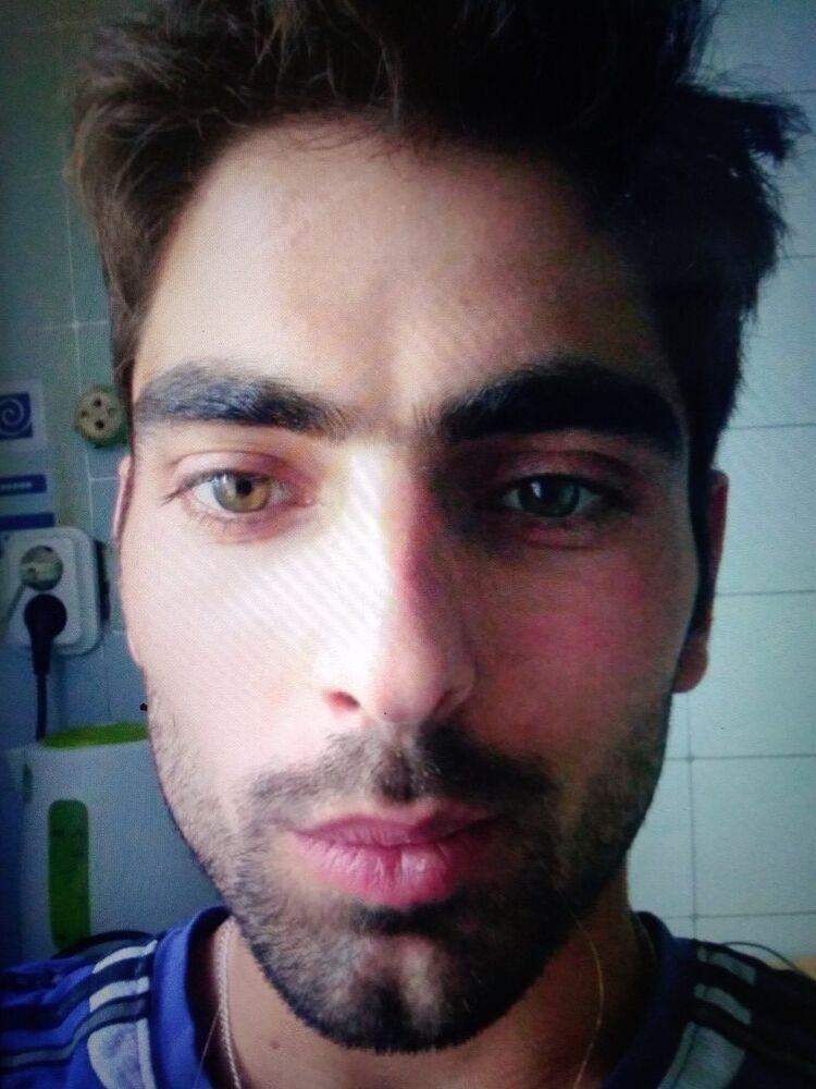  ,    , 33 ,  