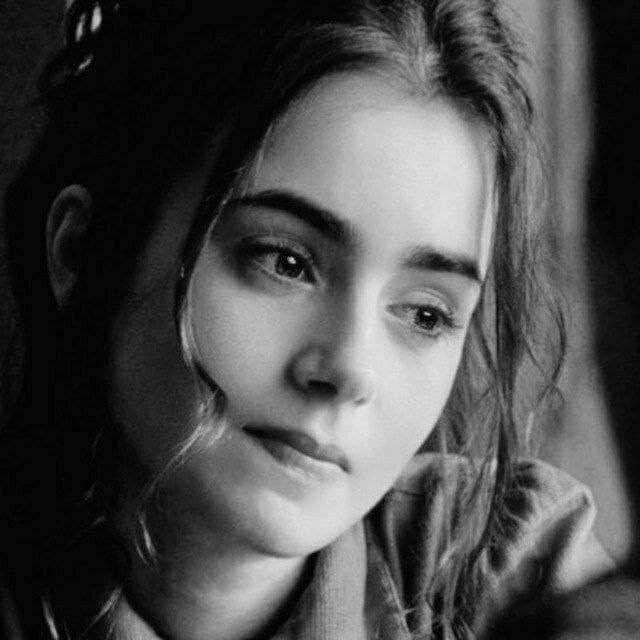  39615843  , 28 ,    -