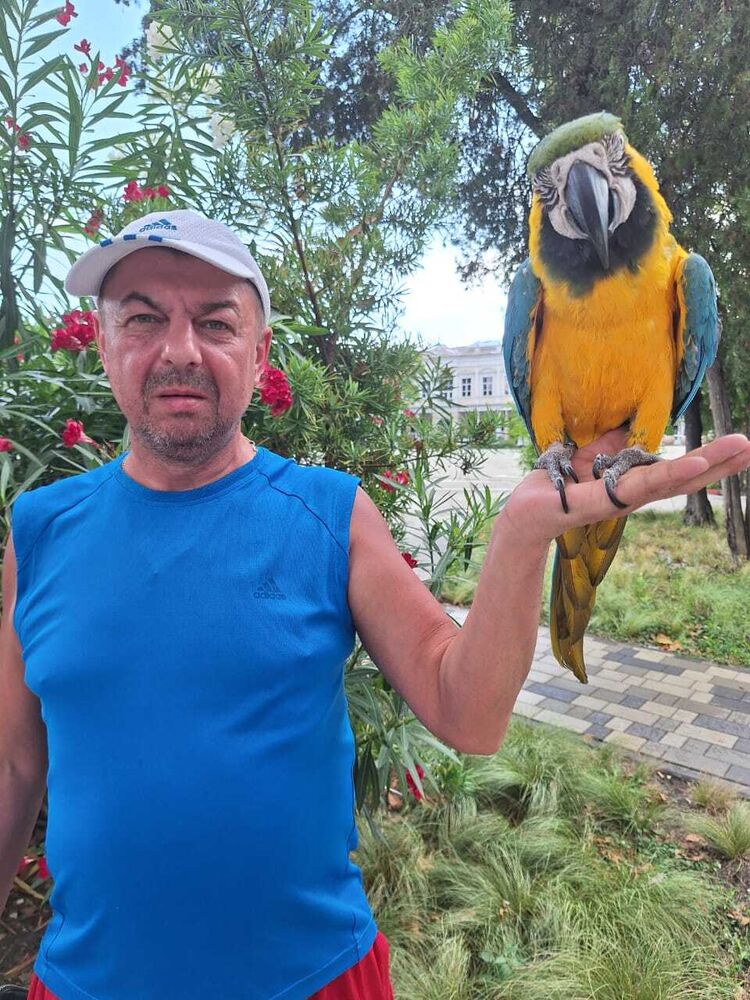  53329893  Sergey, 51 ,    