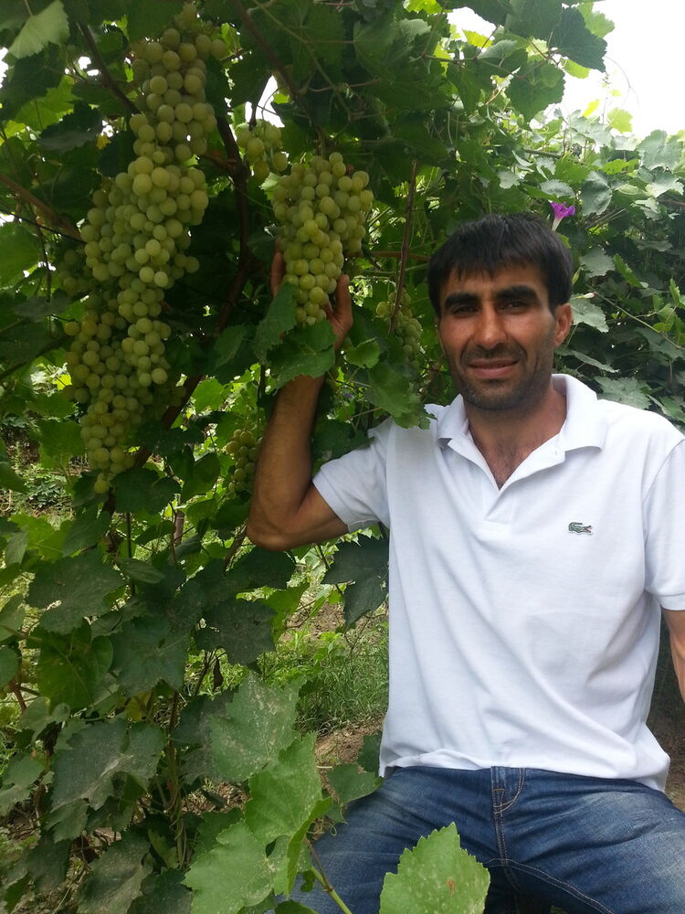 ���������� ������, ���� ������� ������, 45 ���, ������������ ��� ������, ����� � ���������, c�������� ���������