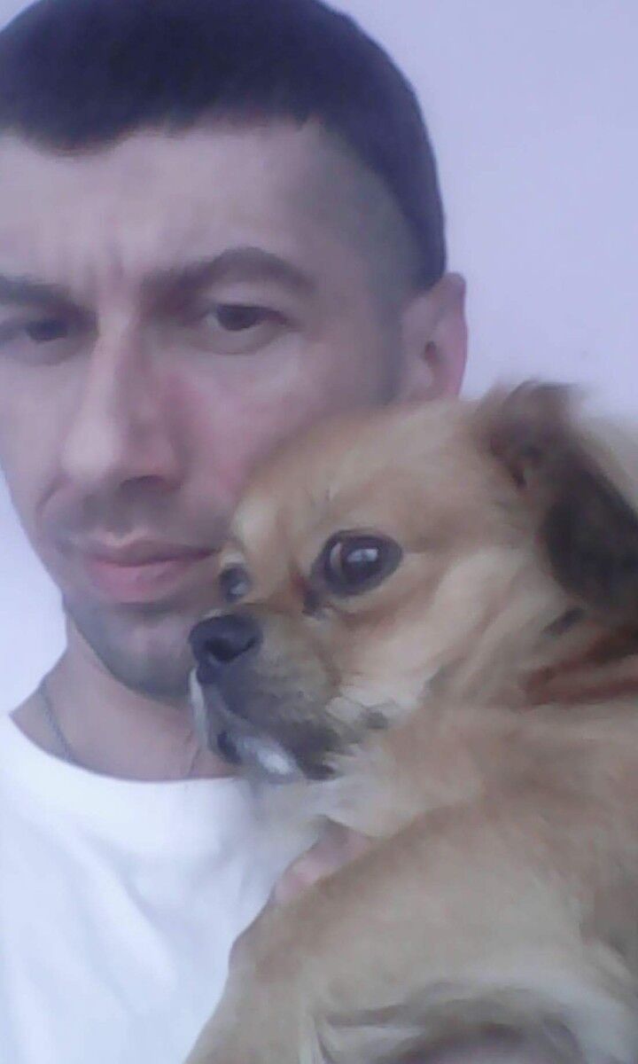  ,   , 44 ,   
