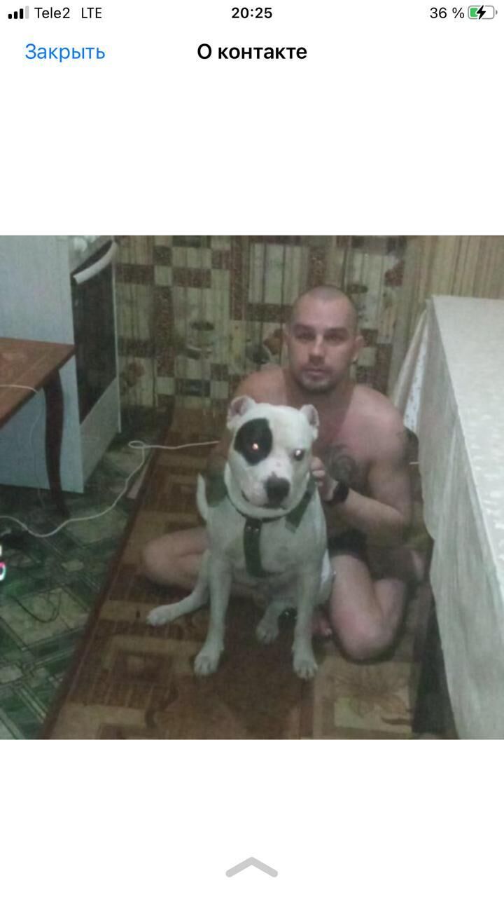  33015843  , 32 ,     