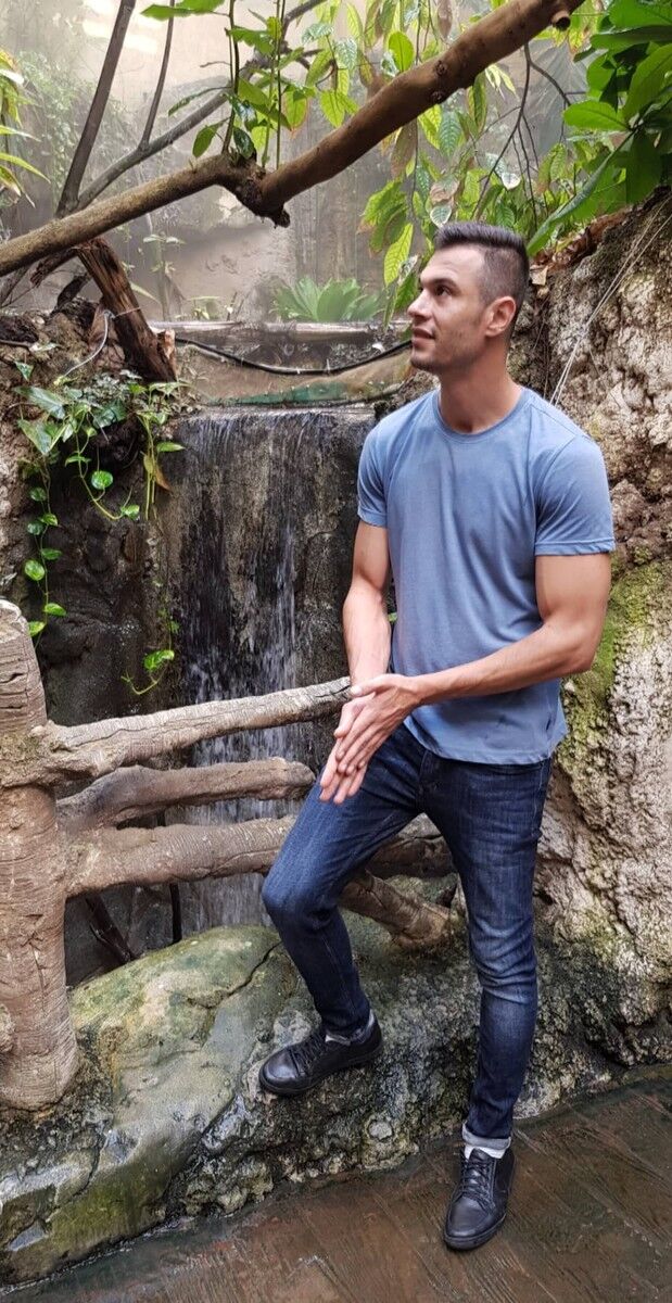 ���� 14336013 ������� Medo, 38 ���, ���� ���������� � �����