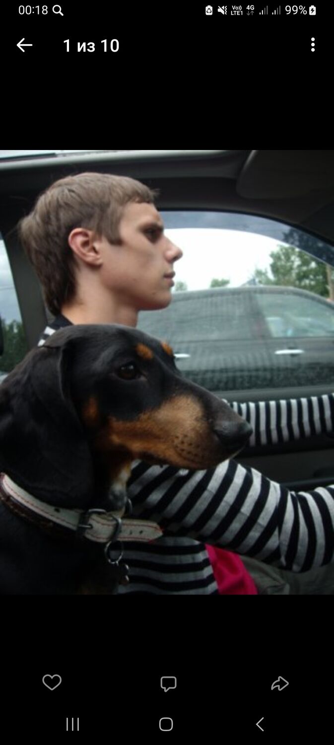  32159823  , 41 ,    -