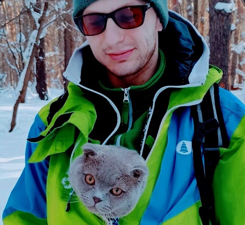 ���� 33757133 ������� ������, 33 ����, ���� ���������� � ������������