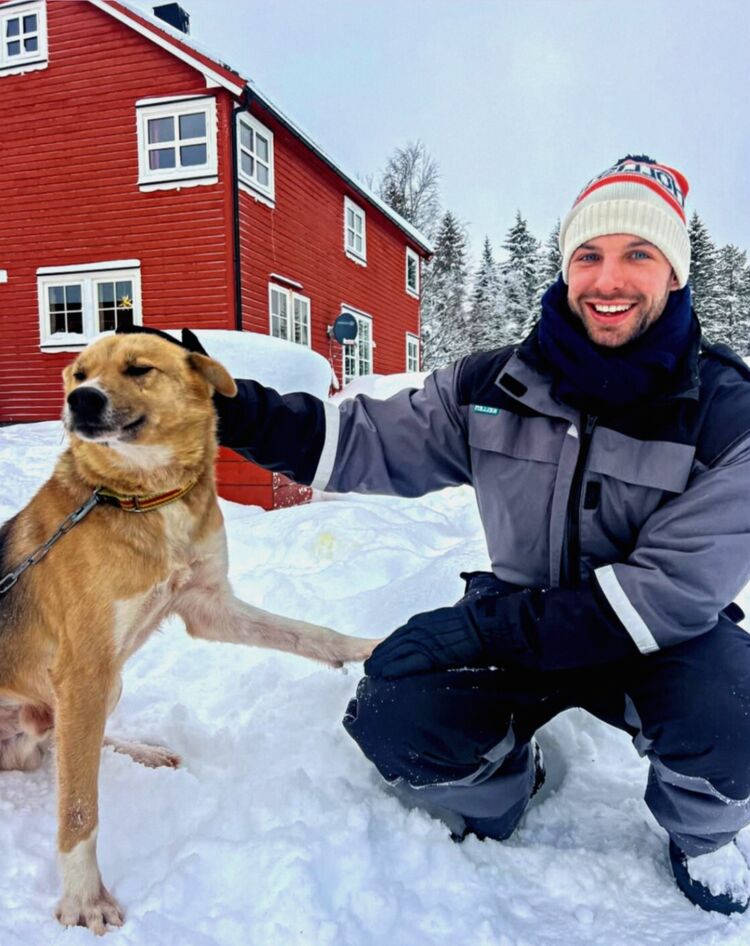 ���������� ������, ���� ������� �����, 37 ���, ������������ ��� ������, ����� � ���������