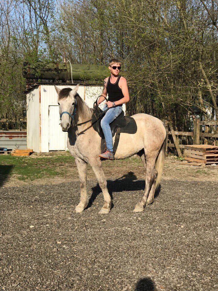 ���������� ����, ���� ������� �������, 34 ����, ������������ ��� ������, ����� � ���������, c�������� ���������, ���������