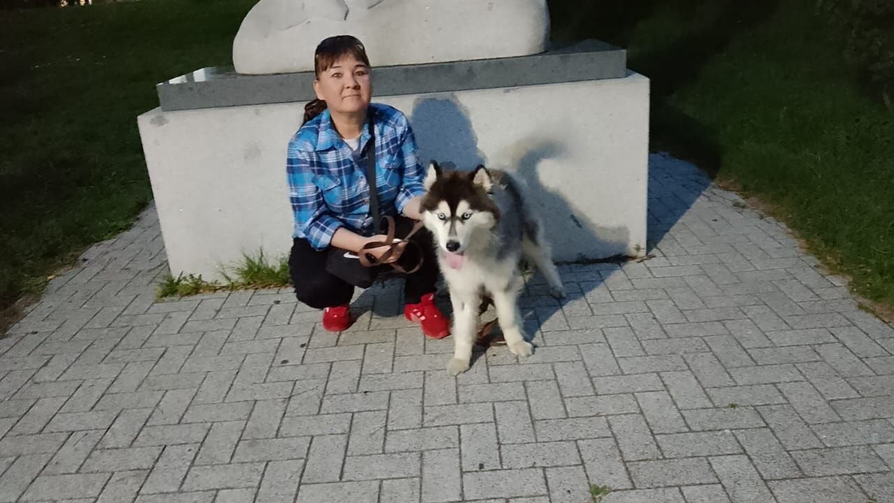 ���� 55594103 ������� �������, 37 ���, ���� ���������� � ��������