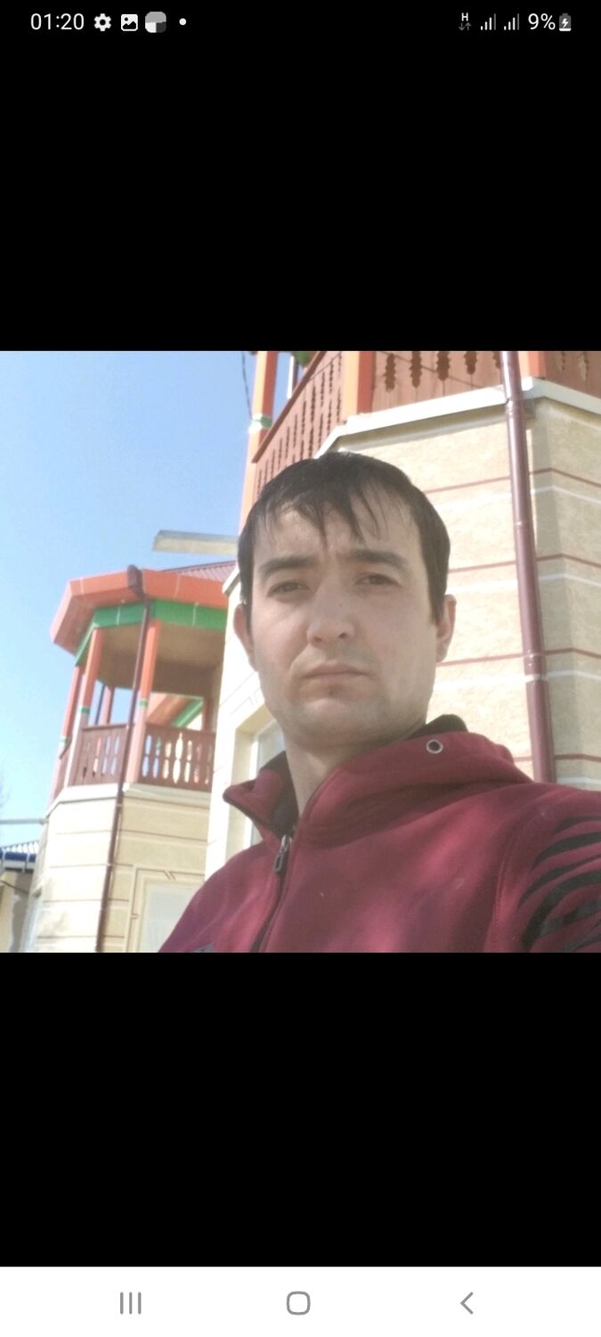 ���� 37317003 ������� �����, 33 ����, ���� ���������� � ������