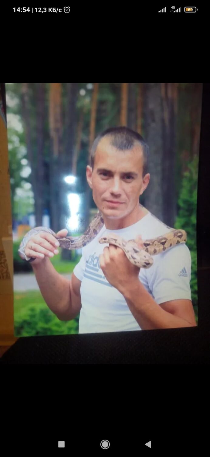 ���������� �����, ���� ������� ��������, 42 ����, ������������ ��� ������, ����� � ���������