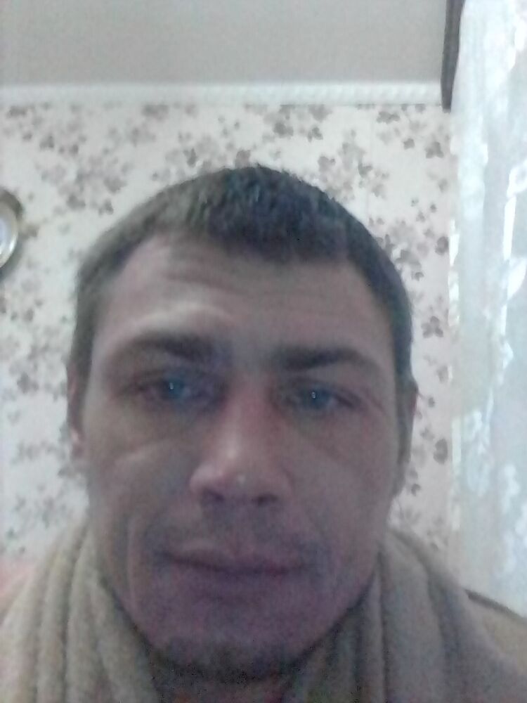  33164613  , 37 ,    