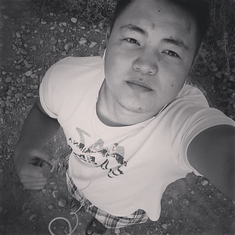  11541573  , 31 ,    