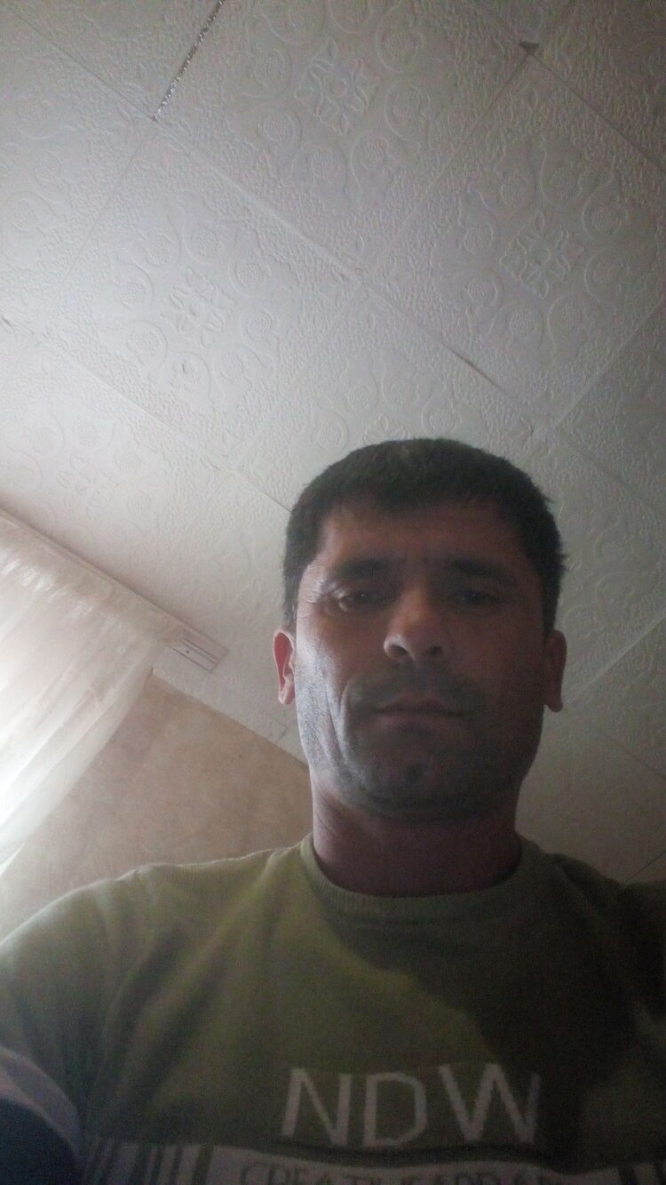  33295853  , 31 ,    