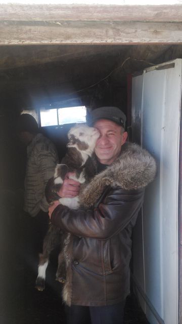  ,   Armen, 56 ,   ,   