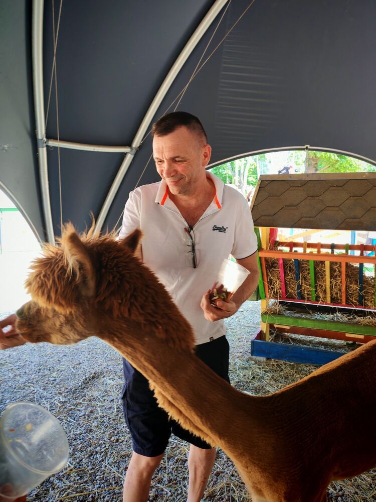 ���������� �������, ���� ������� ������, 52 ����, ������������ ��� ����� � ���������, c�������� ���������