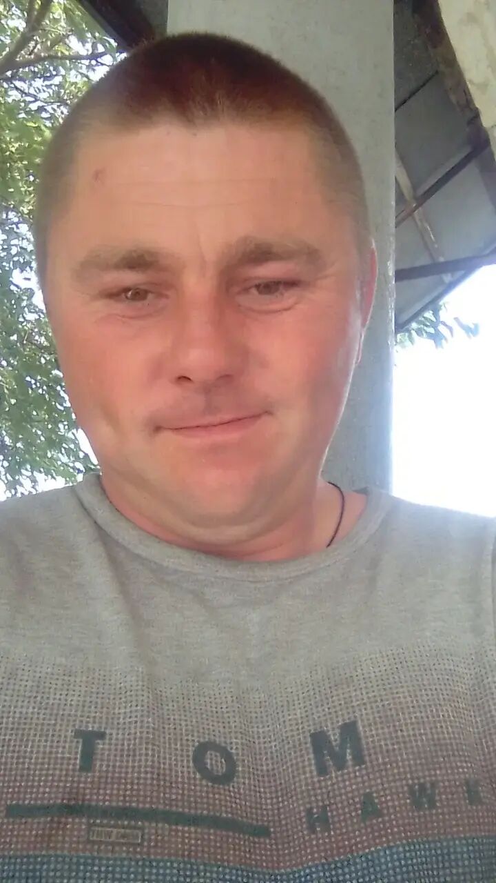 42219763  , 31 ,    