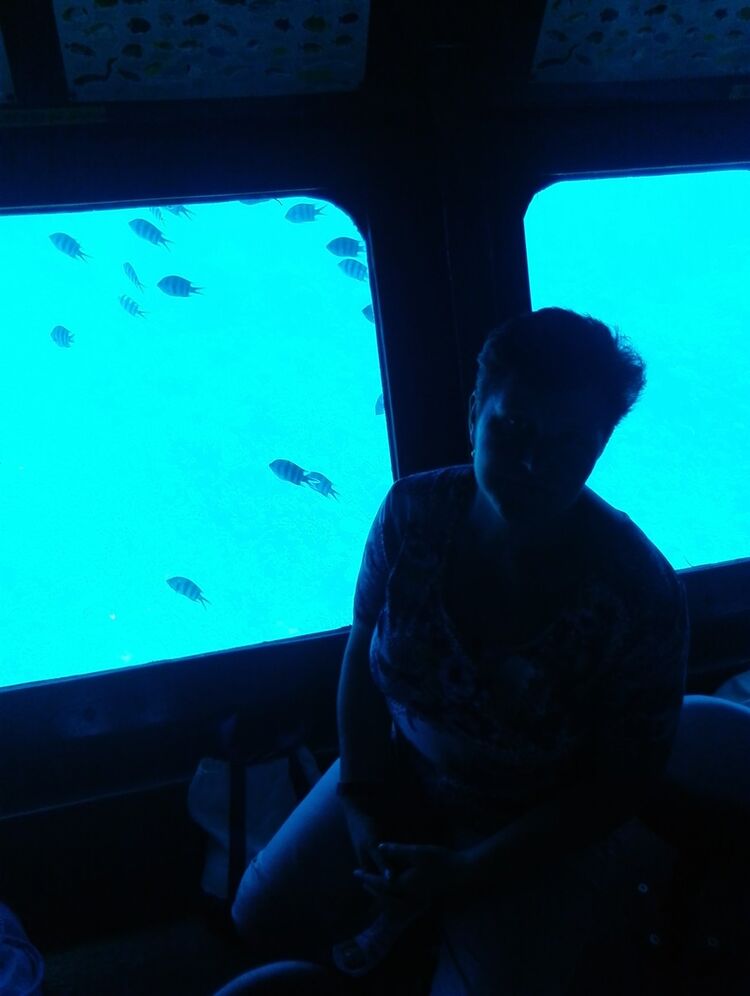  18207053  , 56 ,    