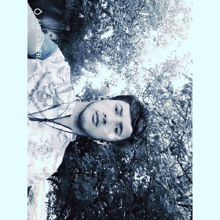  --,   , 31 ,   ,   , c , 