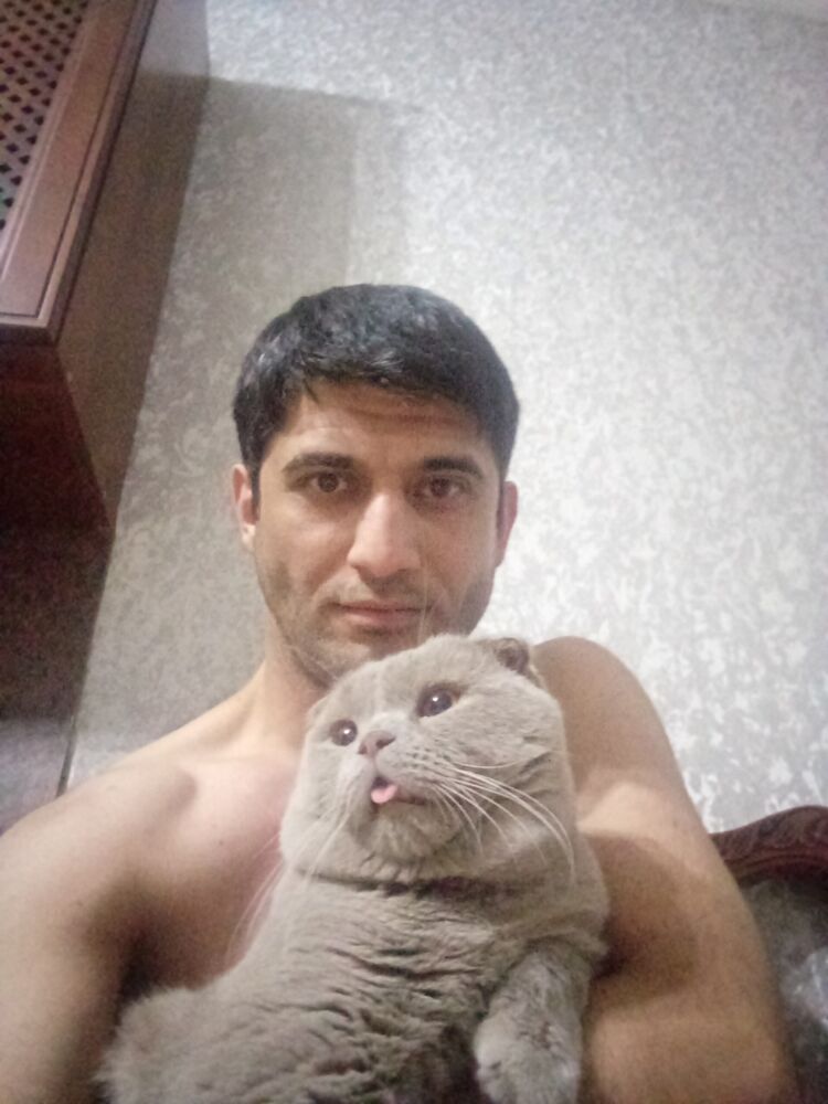 ���������� ���������, ���� ������� �����, 38 ���, ������������ ��� ������, ���������