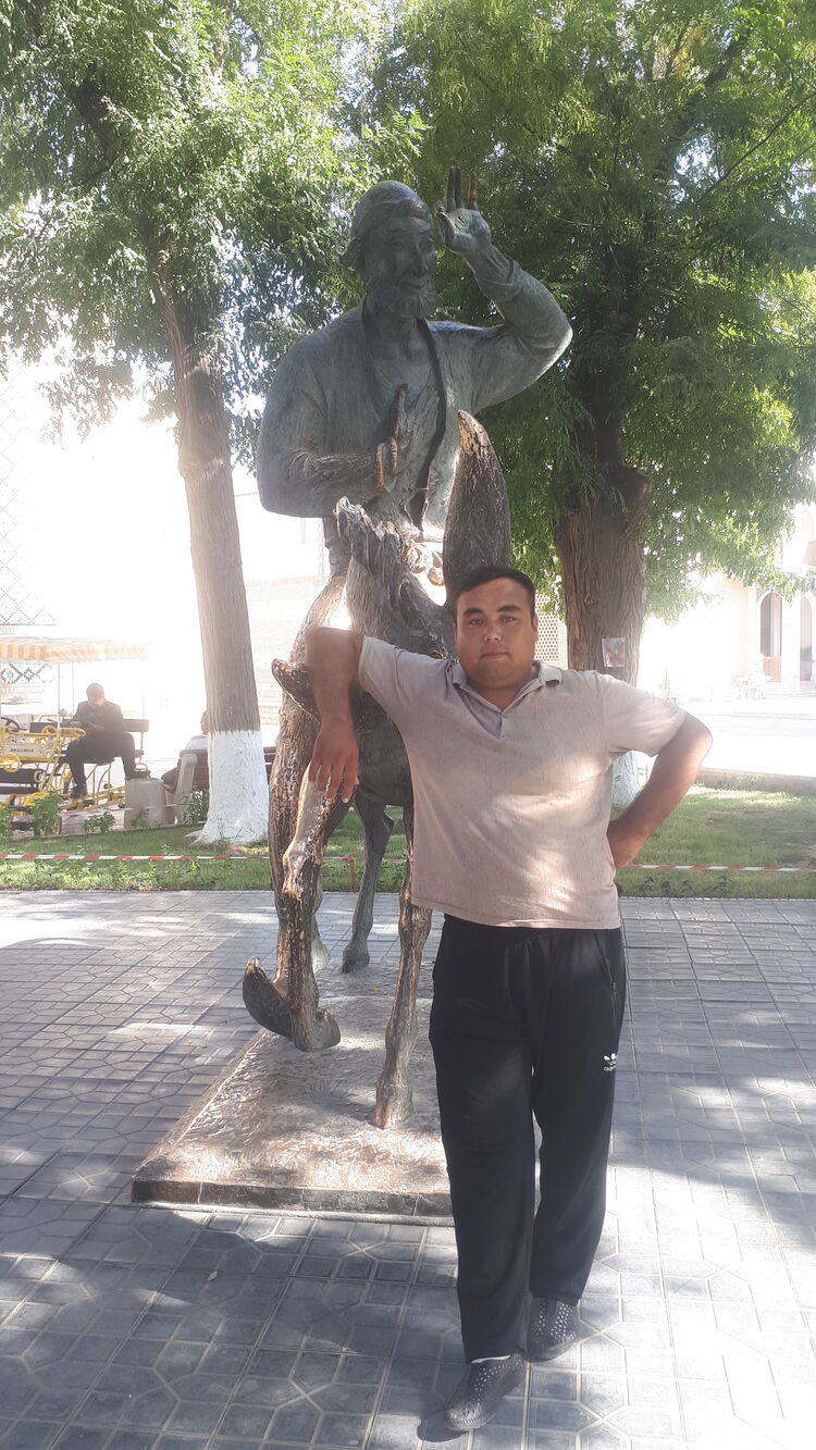  24008683  , 30 ,    