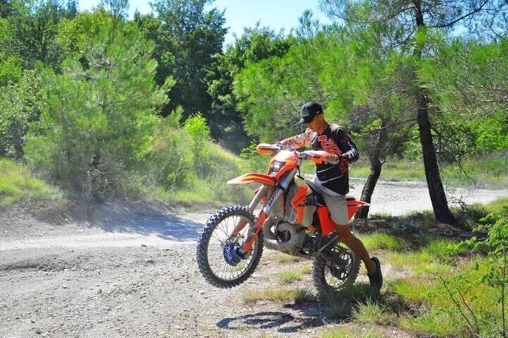 ���� 33943793 ����� ������, 22 ����, ���� ���������� � ����������