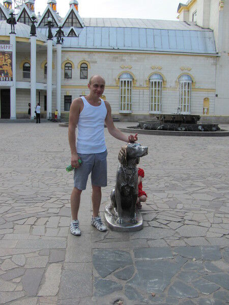  ,   Dassad, 41 ,   