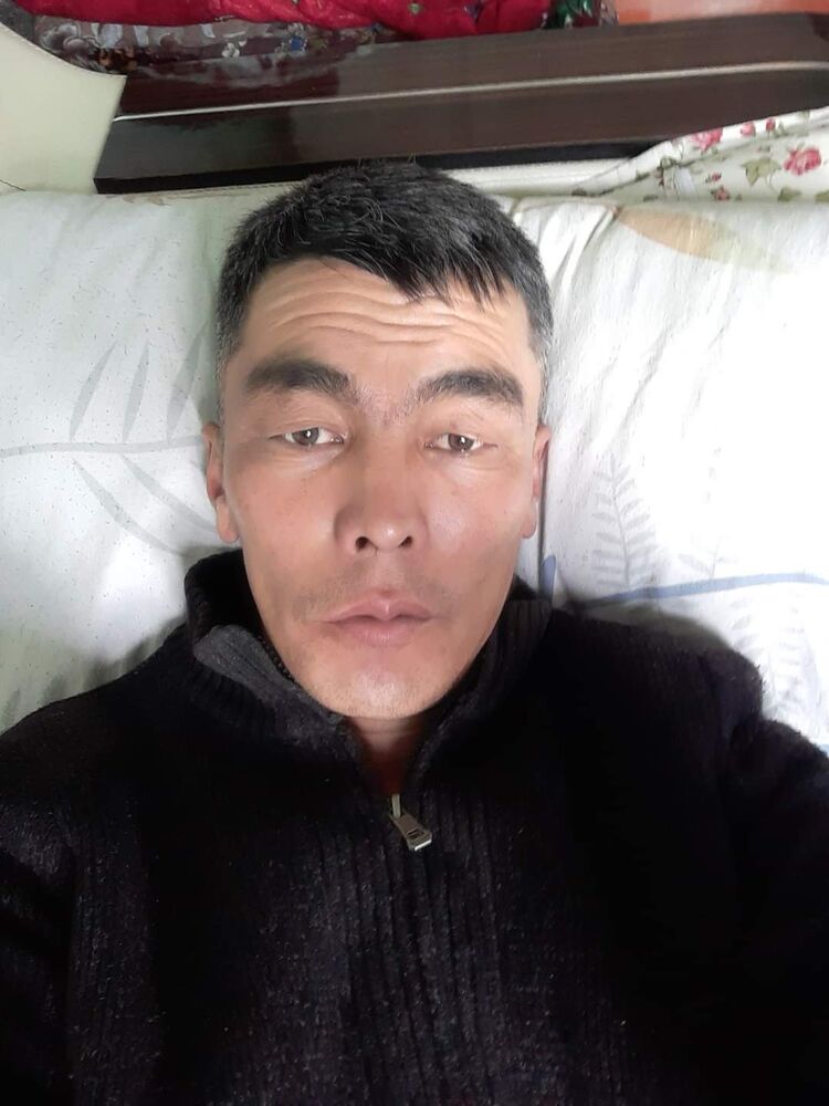  26482343  , 52 ,    
