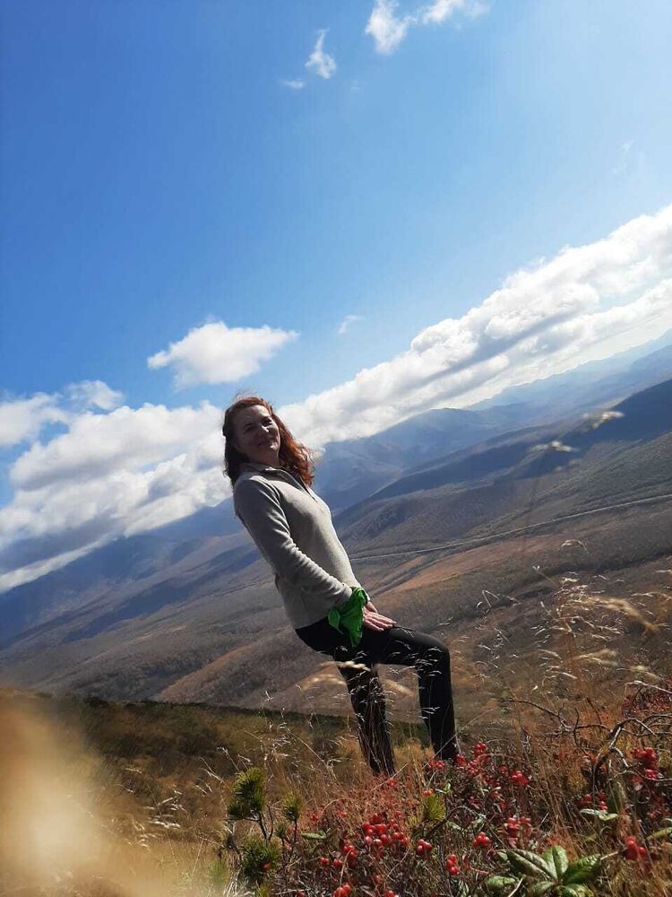  48682733  , 42 ,    -