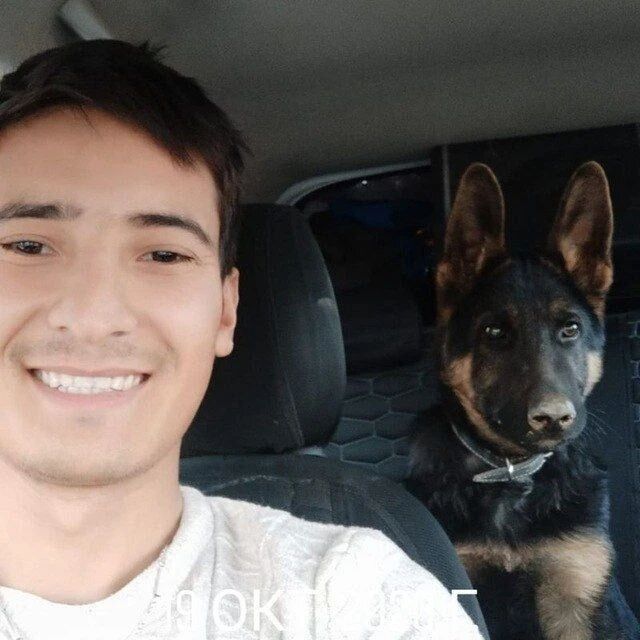 ���� 31096833 ������� ����, 27 ���, ���� ���������� � ������