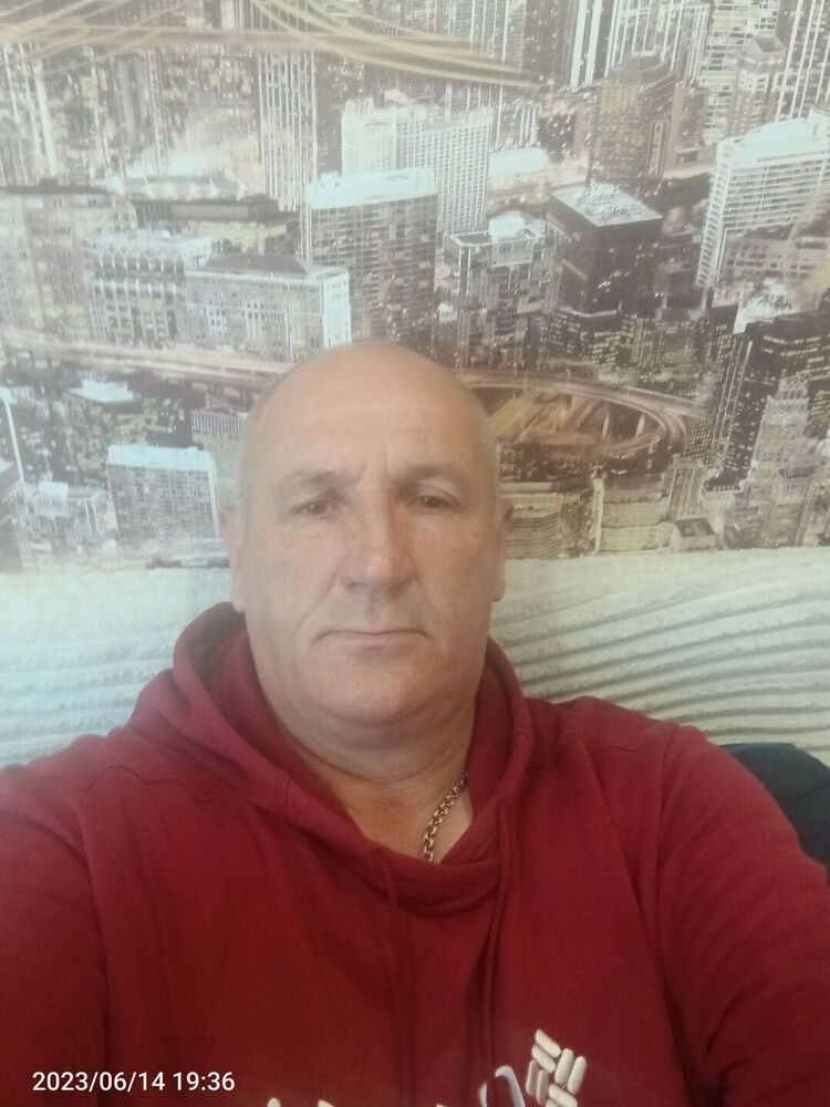  35311913  , 55 ,    