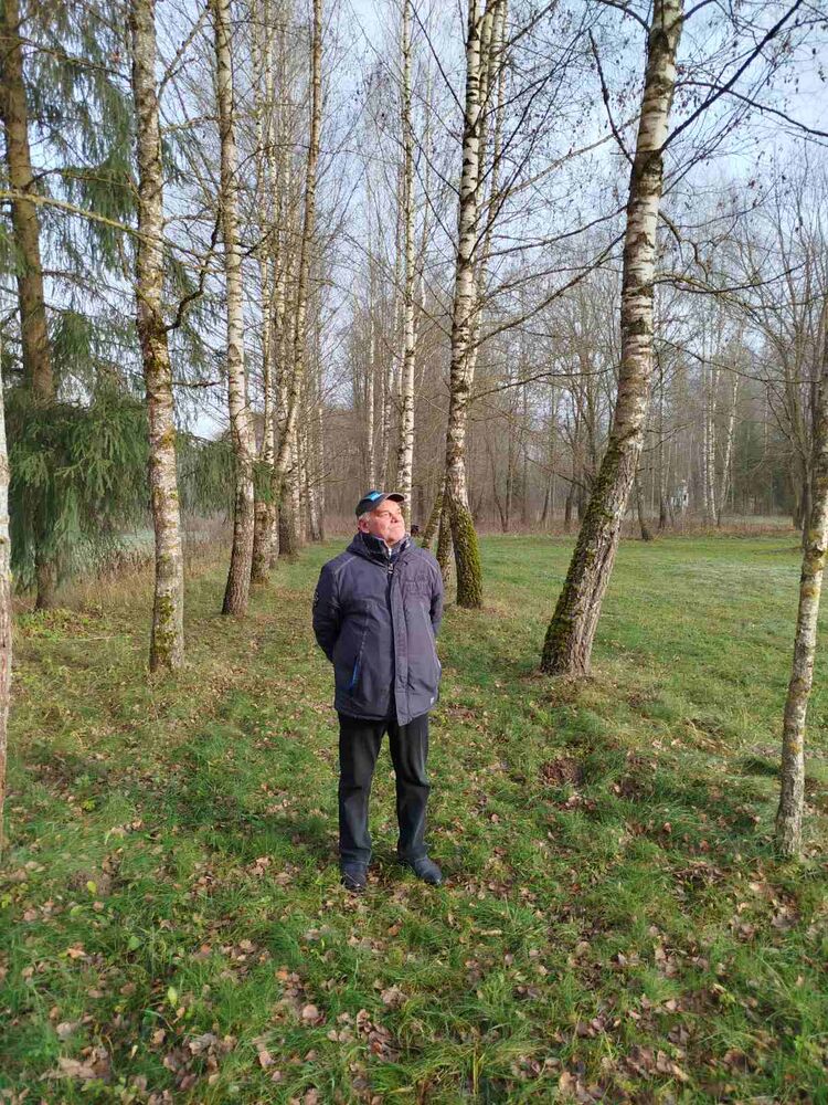 ���������� �������, ���� ������� ���������, 60 ���, ������������ ��� c�������� ���������