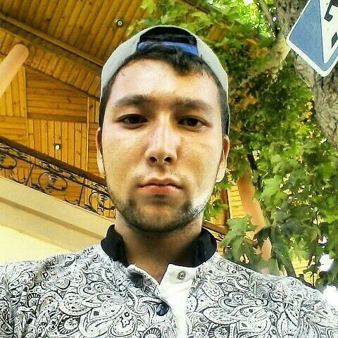  ,   TaD JiK, 31 ,   ,   , c , 