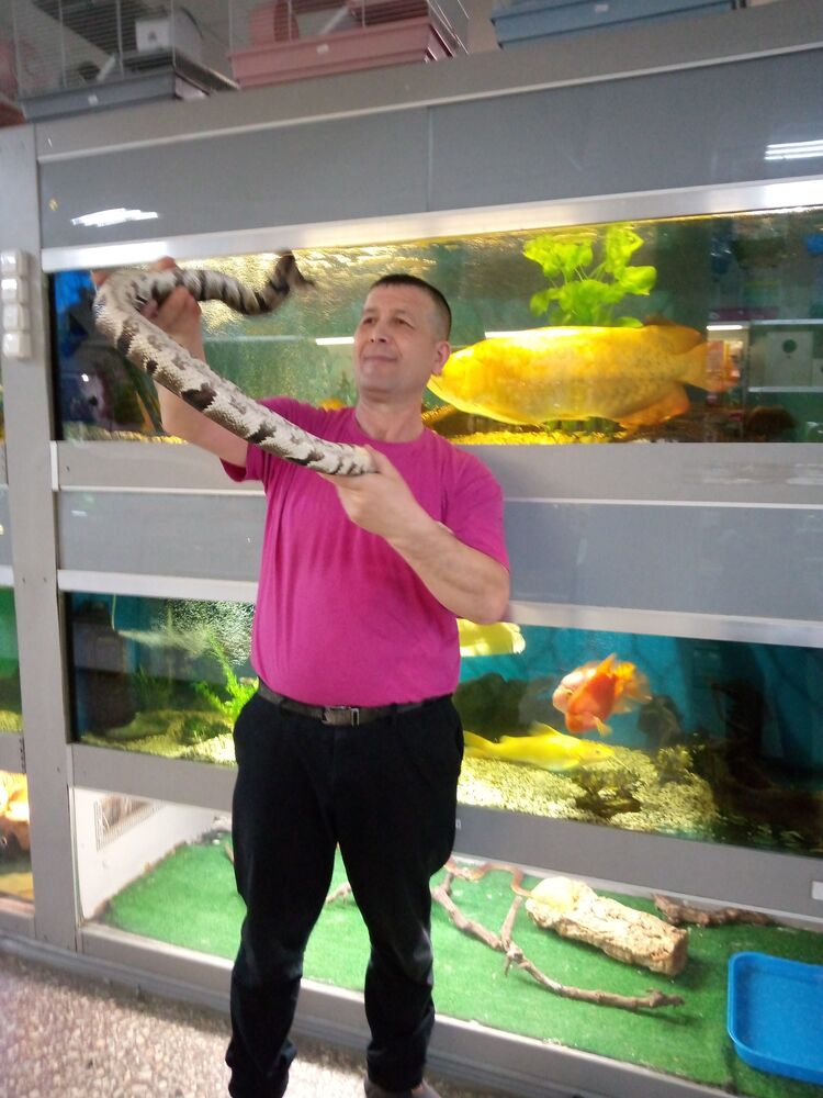 ���� 40441573 ������� ��������, 45 ���, ���� ���������� � ������