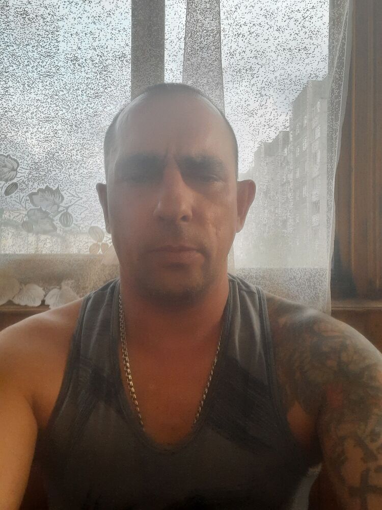  39527043  , 44 ,    